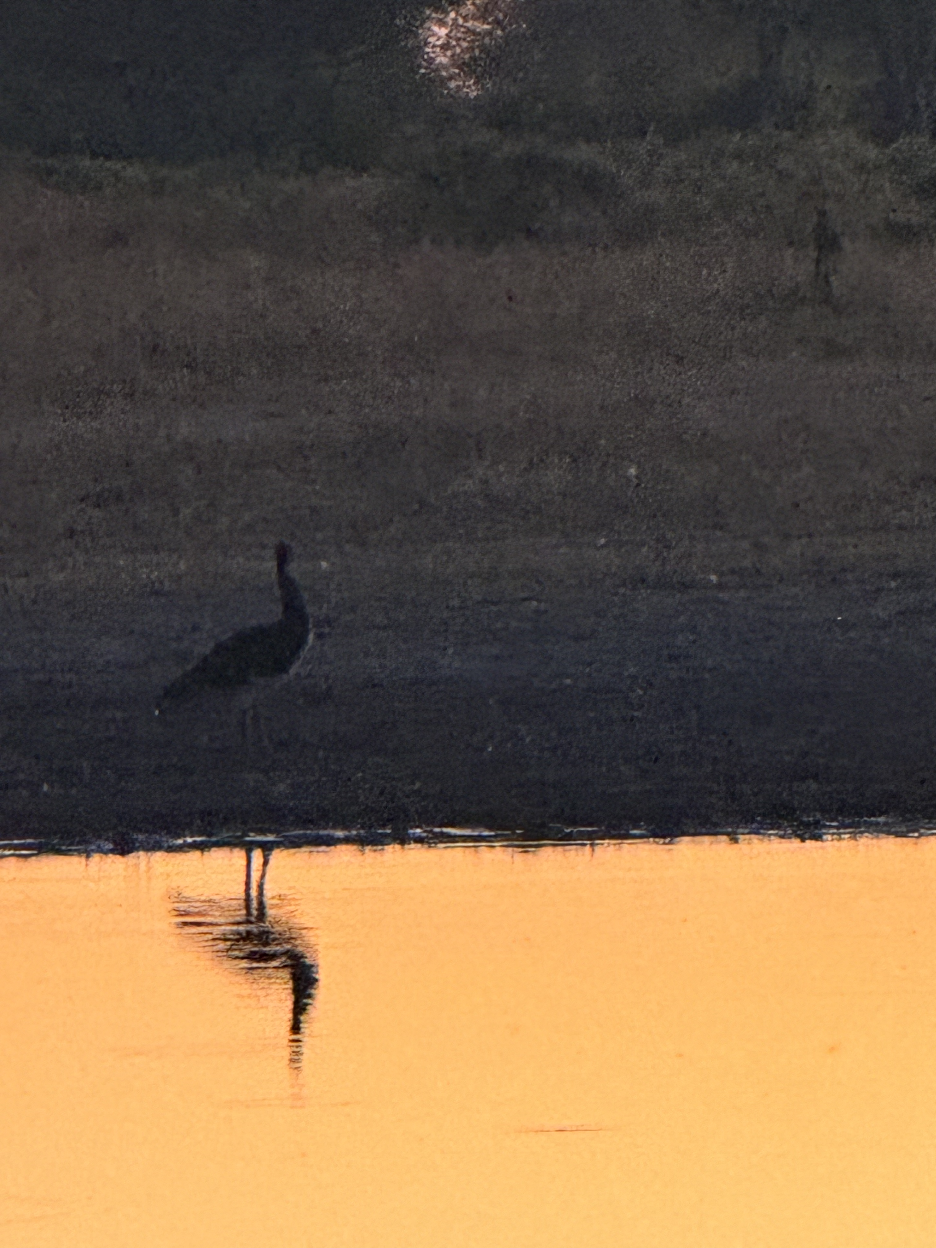 Landskappe — Verre Horisonne