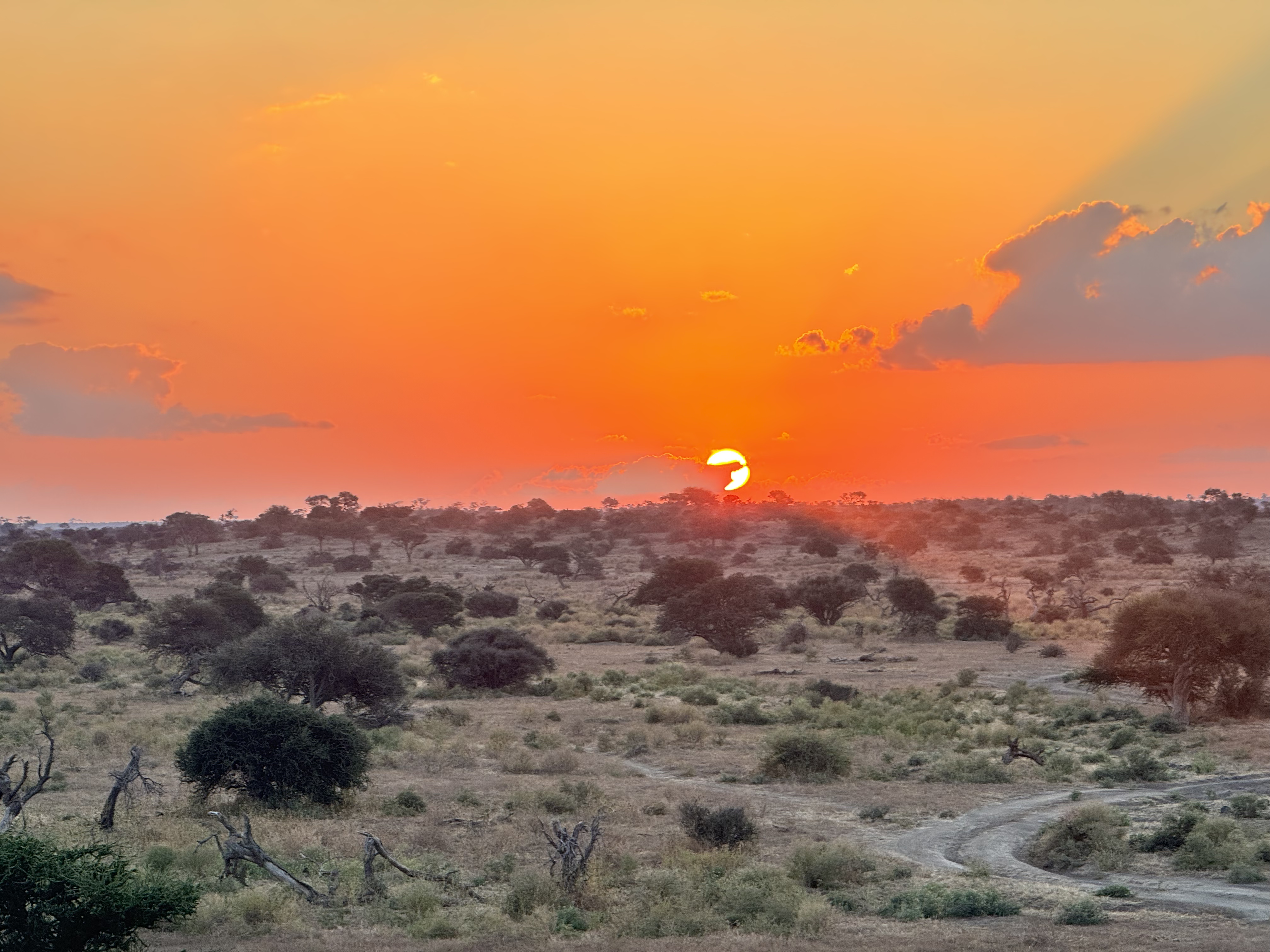 Landskappe — Verre Horisonne