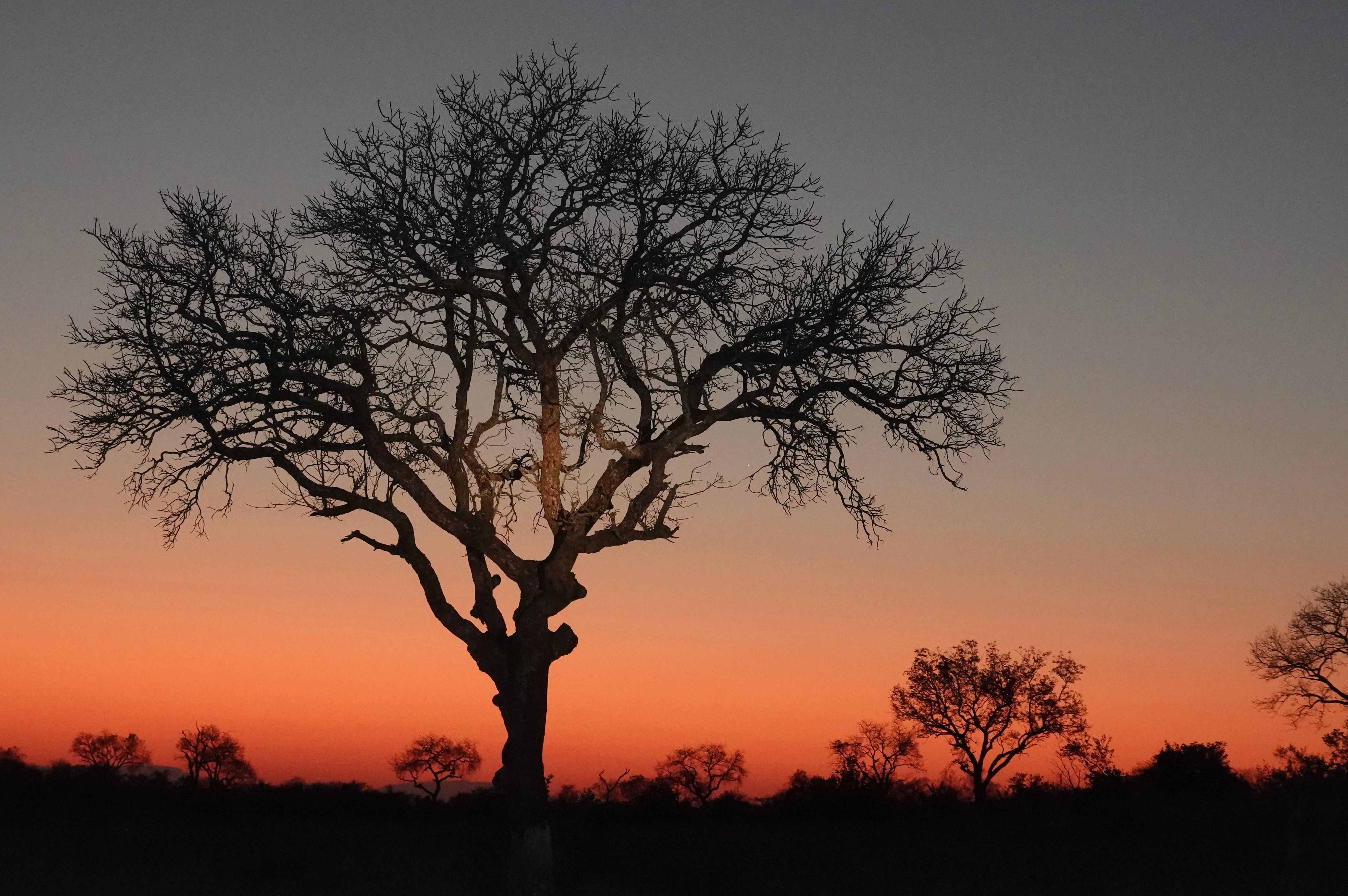 Landskappe — Verre Horisonne