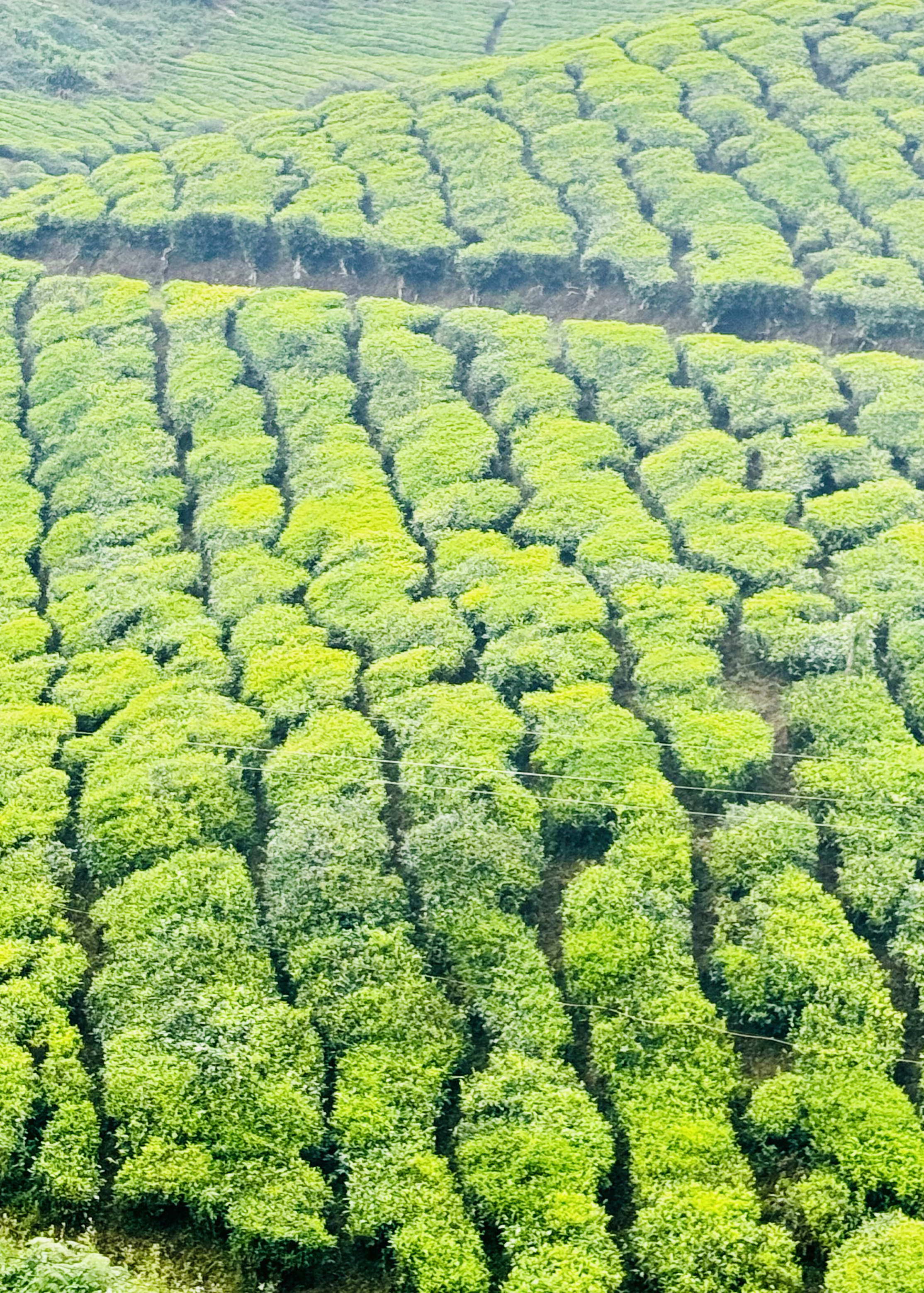 Landskappe — Verre Horisonne