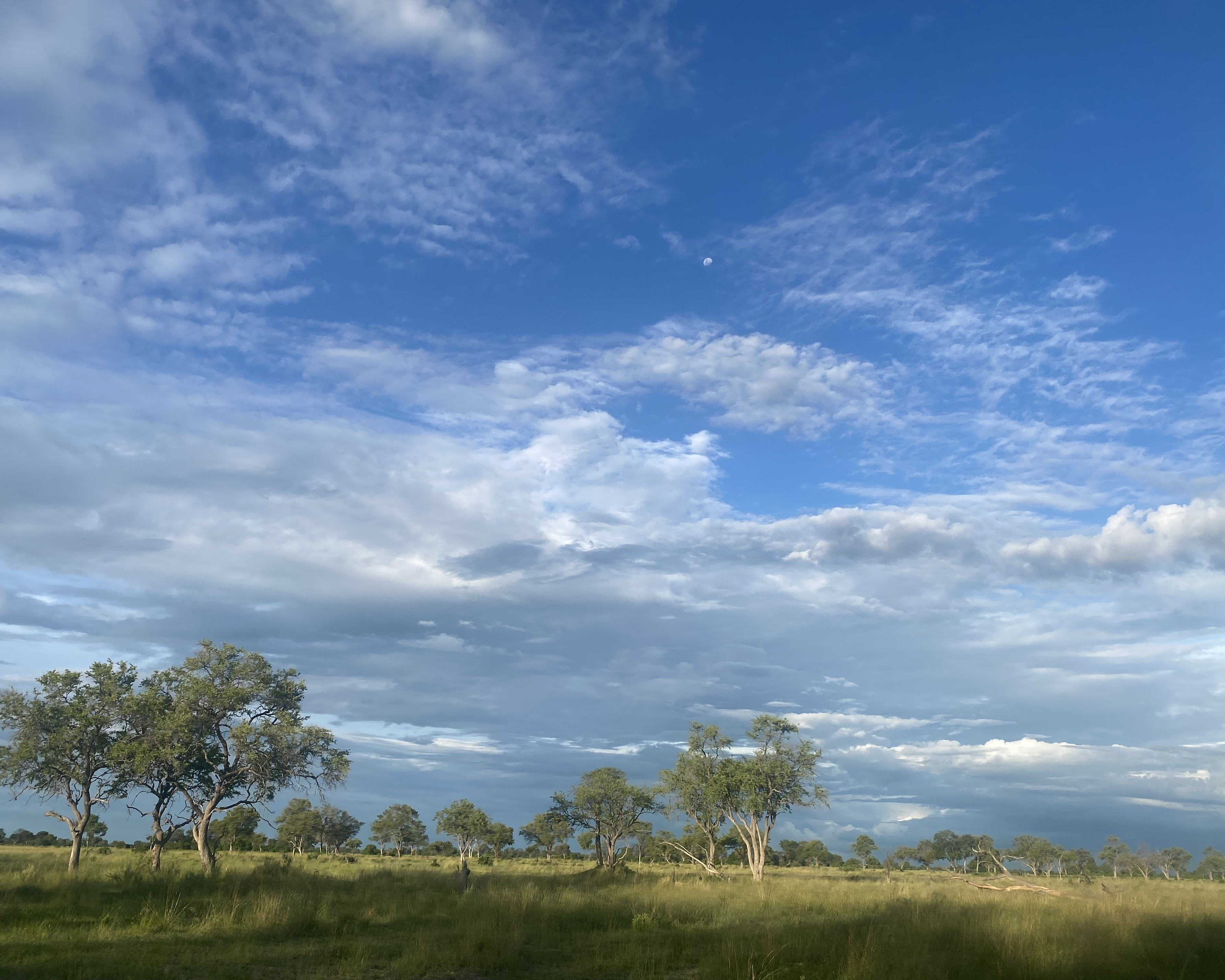 Landskappe — Verre Horisonne