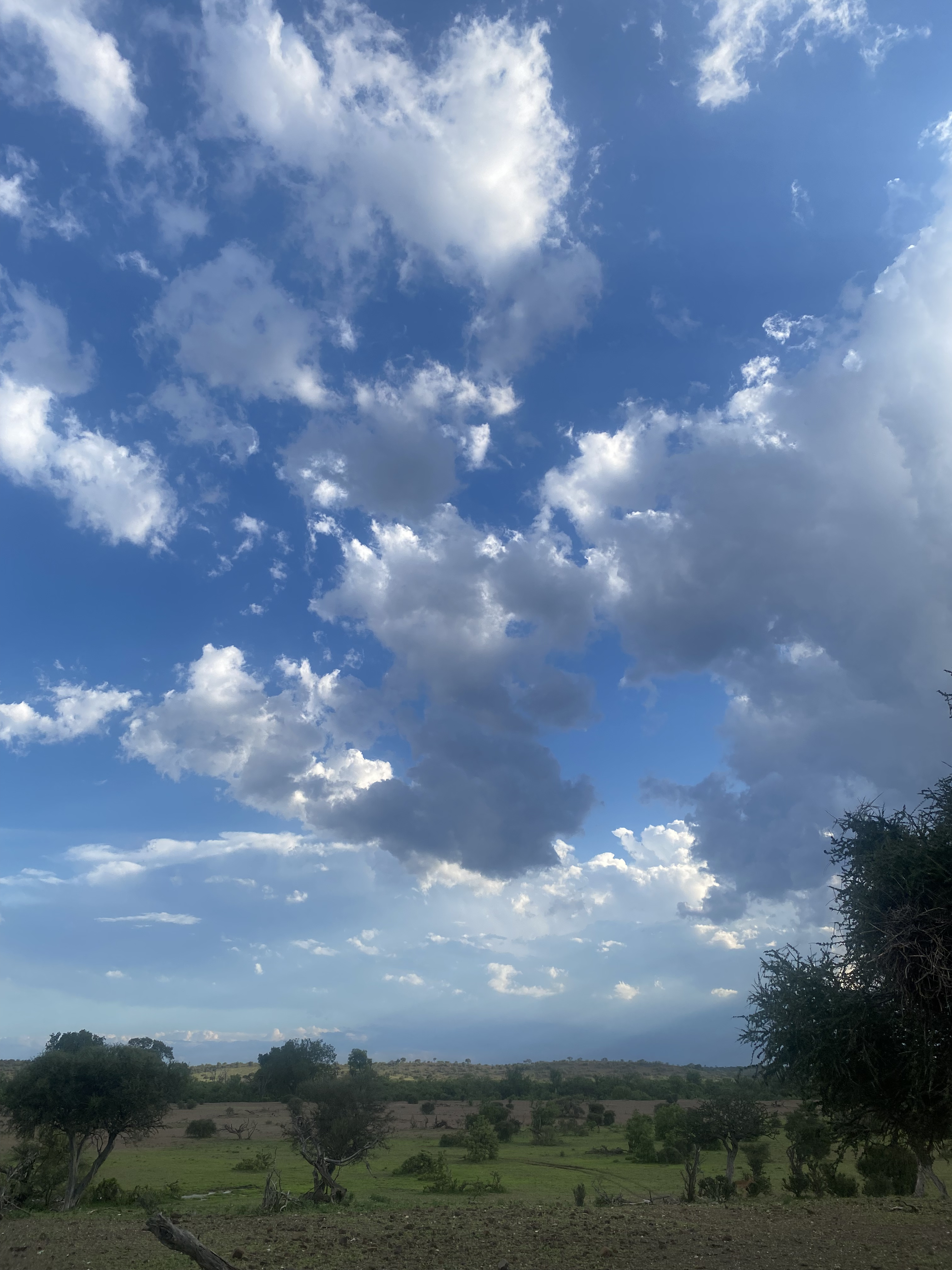 Landskappe — Verre Horisonne