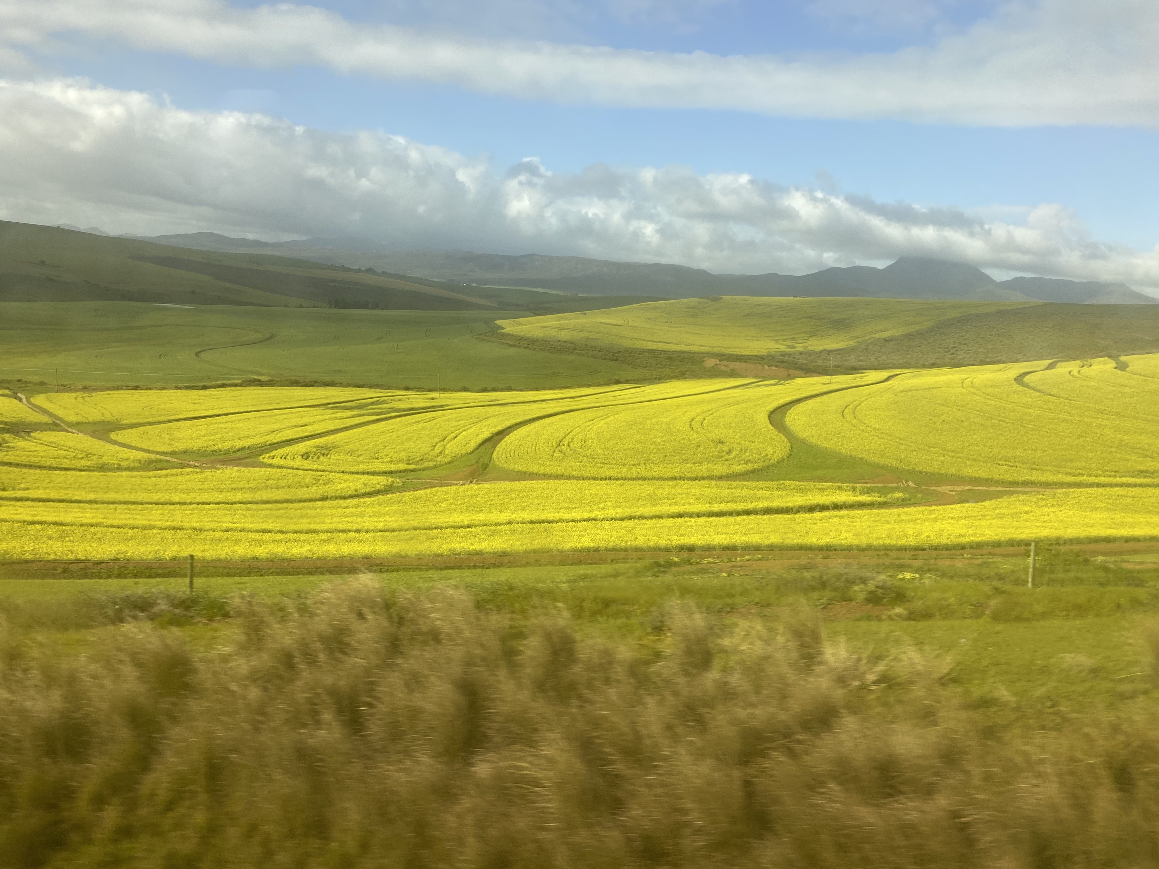 Landskappe — Verre Horisonne