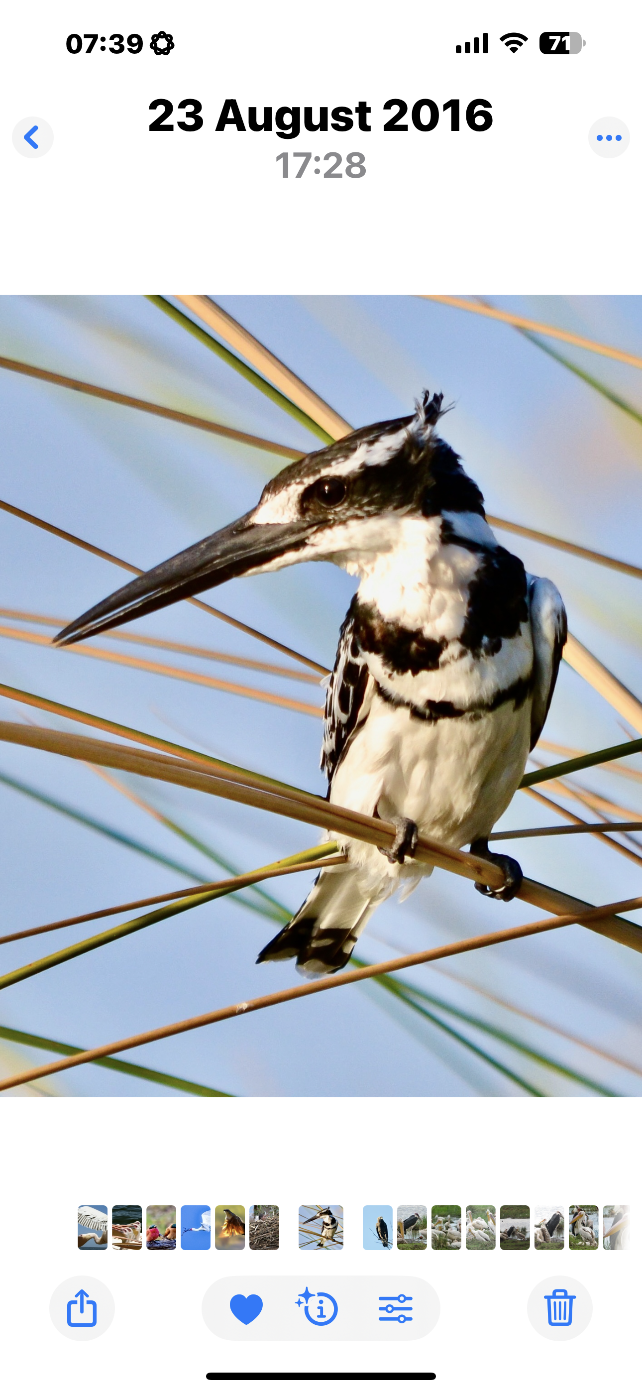 Voëllewe Fotografie
