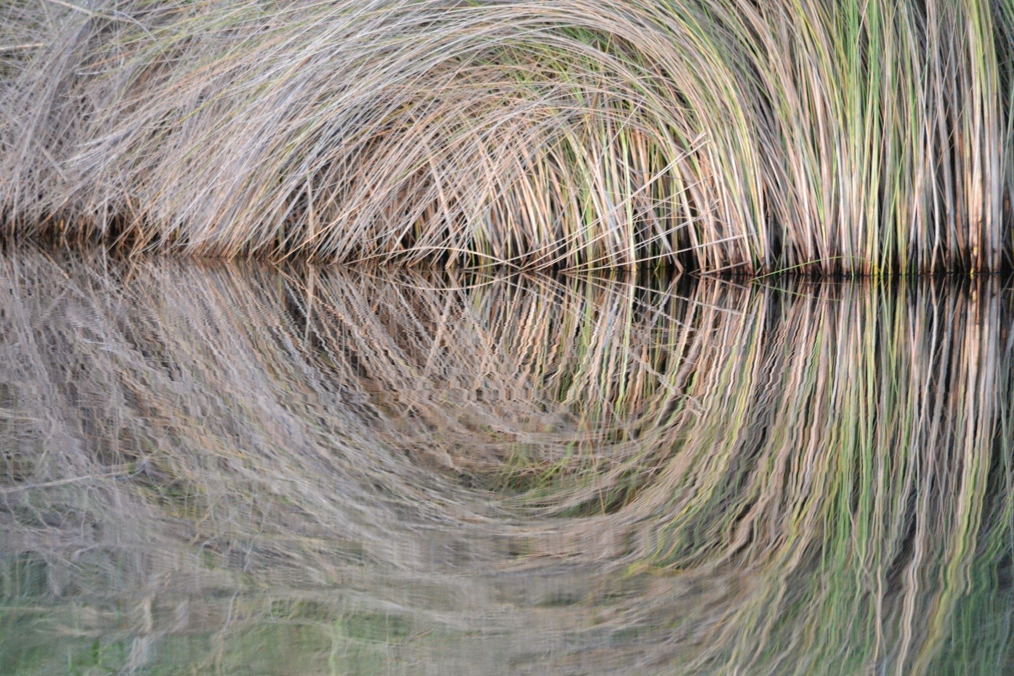 Okavango Delta-ekspedisie | Vroue se vertrek • November 2026