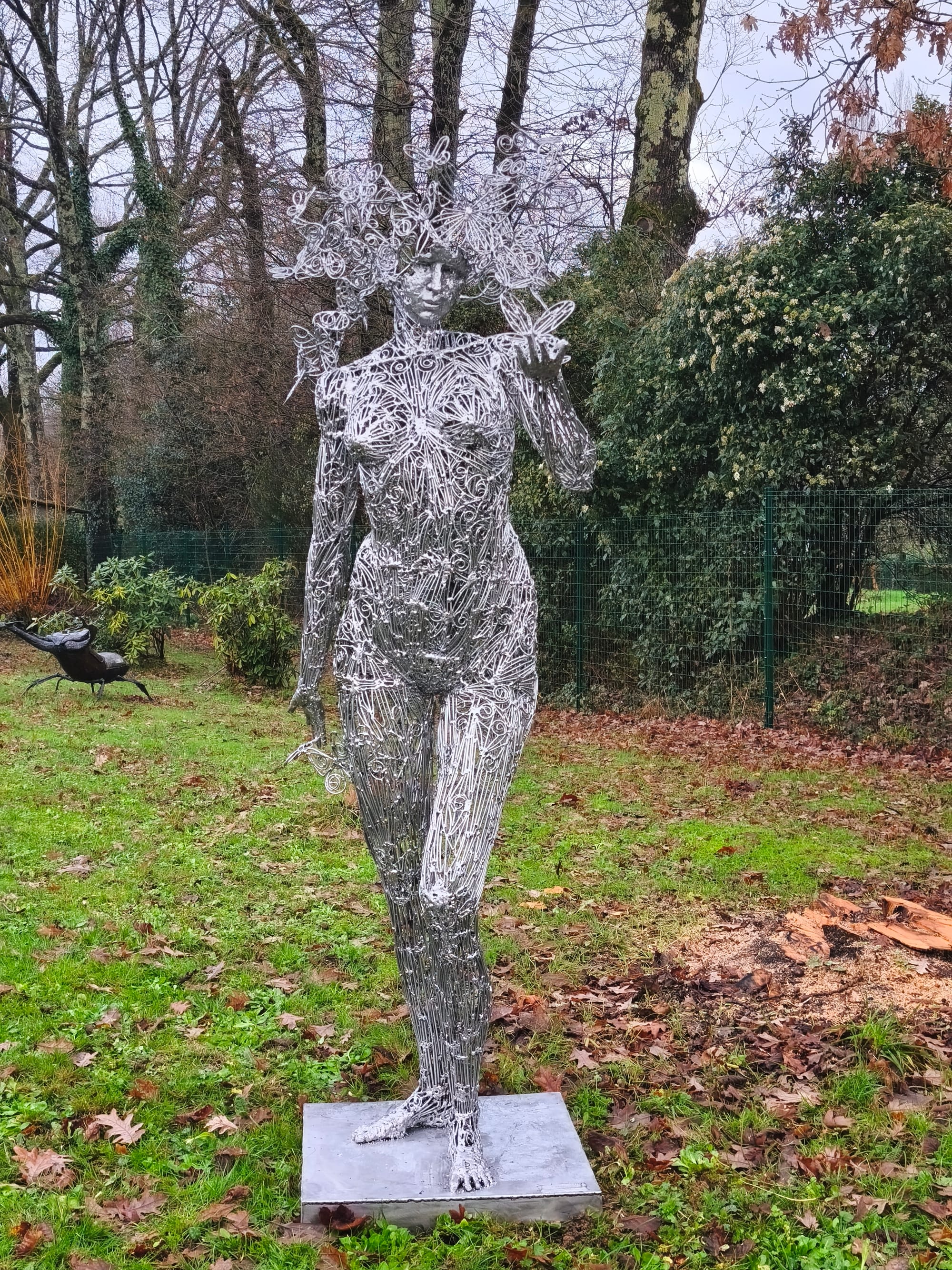 la femme aux papillons