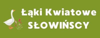 Partner Strategiczny image