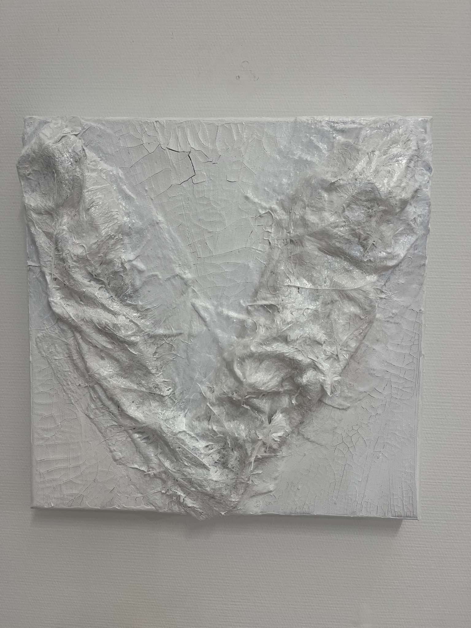 Feathers (30x30) € 300