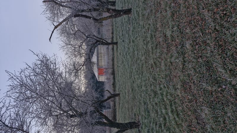 La Moon Yurt – Une bulle de nature pour respirer