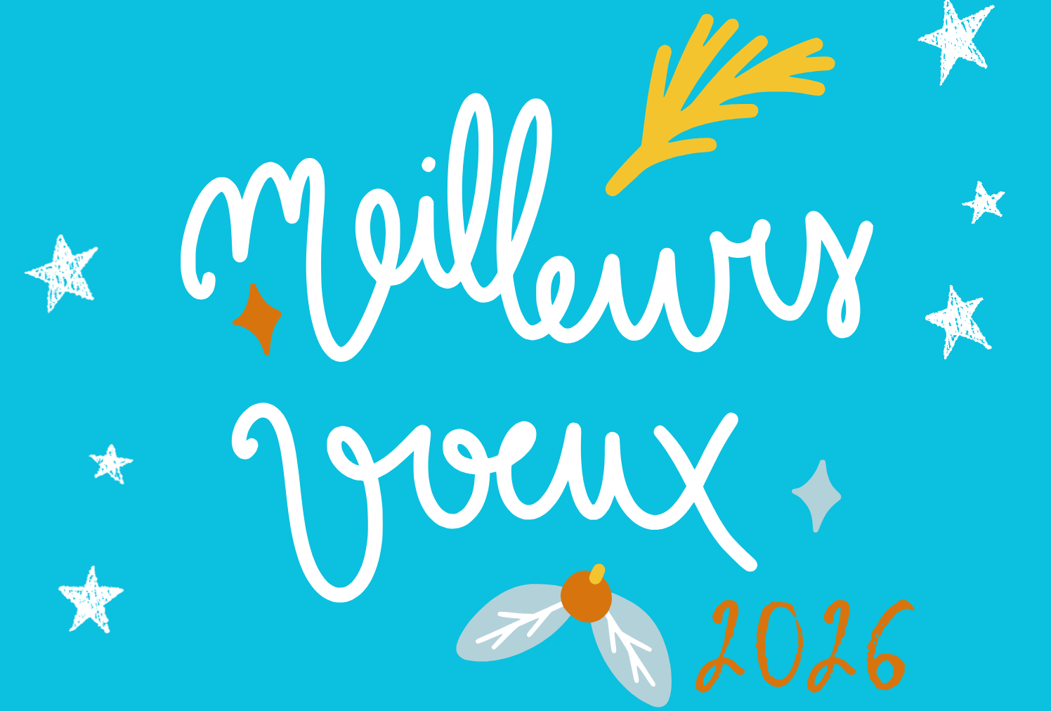 Meilleurs vœux 2026 !