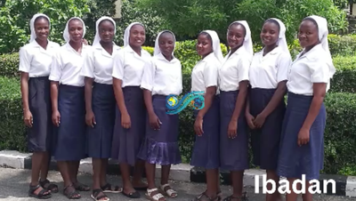 Vidéo - Présentation des novices