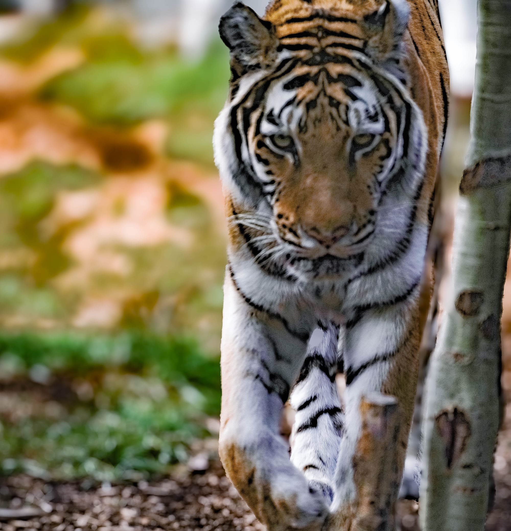 On the Hunt