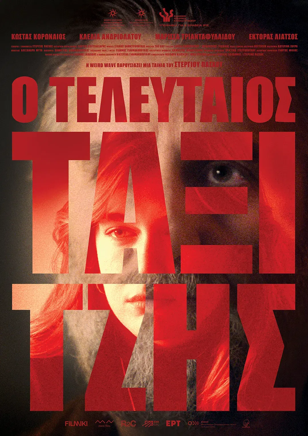 THE LAST TAXI DRIVER