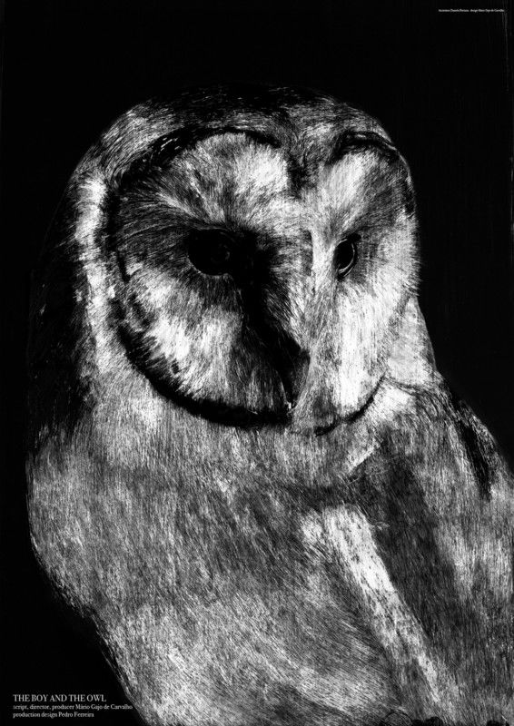 THE BOY AND THE OWL
