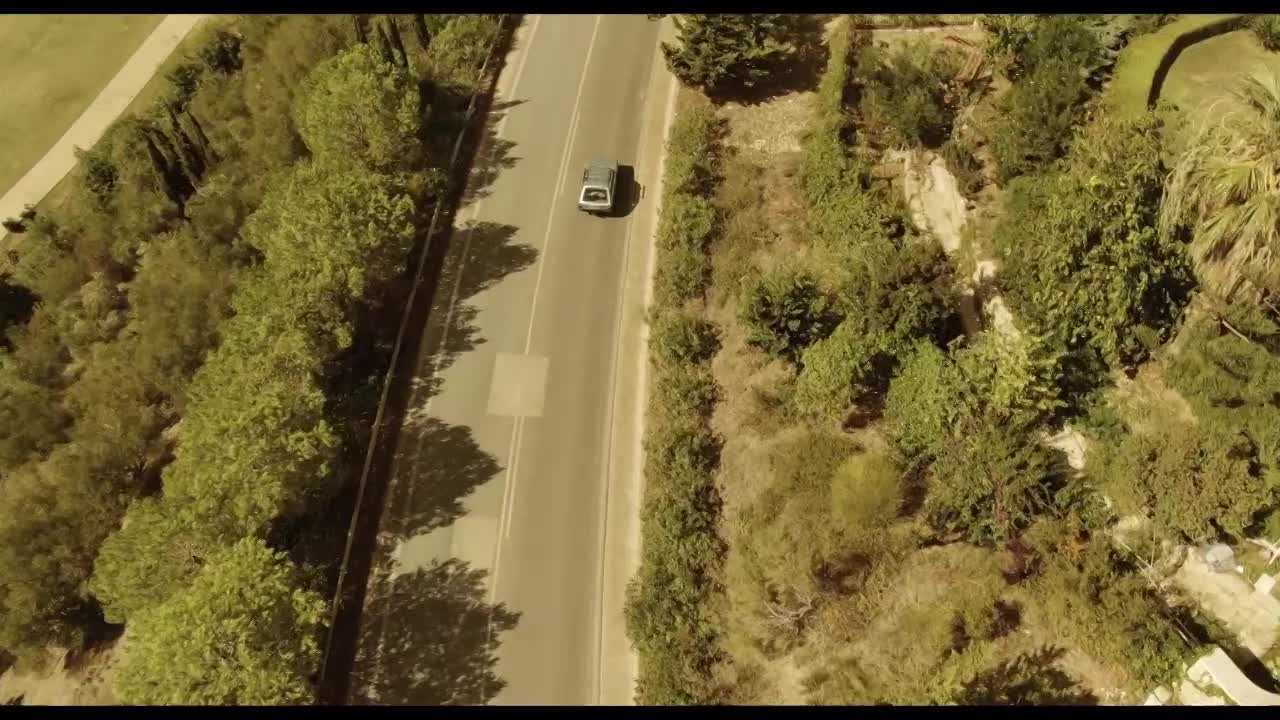 THE TOOTH AND THE ROCK