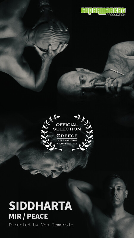 SIDDHARTA - MIR