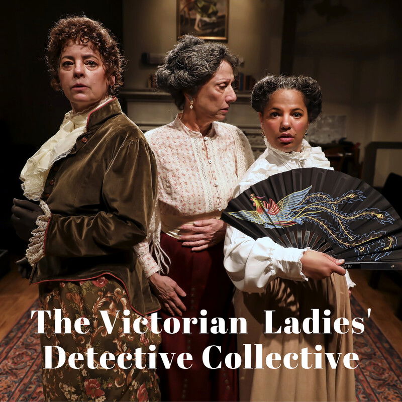 THE VICTORIAN LADIES' DETECTIVE COLLECTIVE