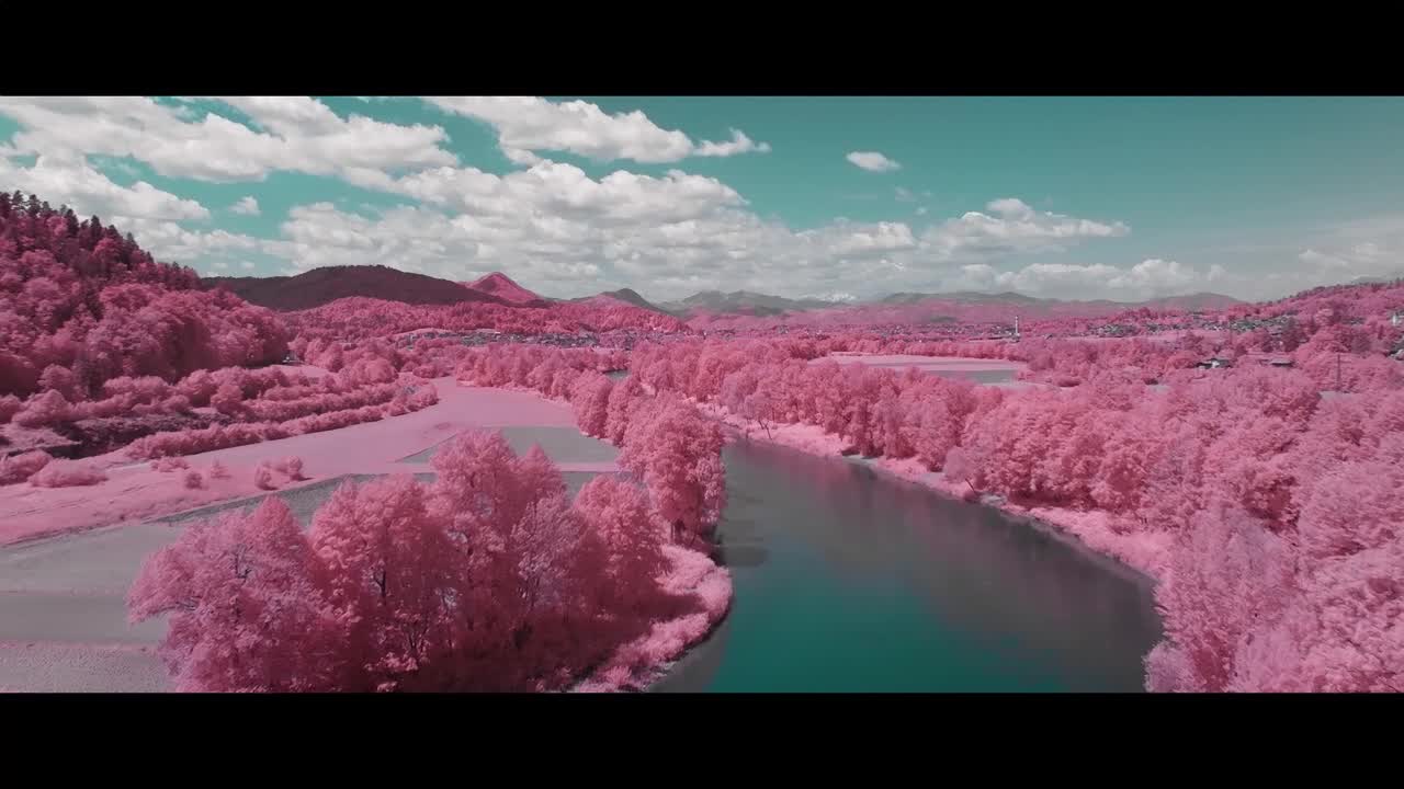 SIDDHARTA - IN THE SKY