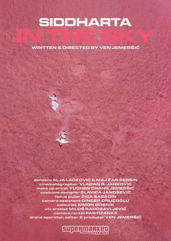 SIDDHARTA - IN THE SKY