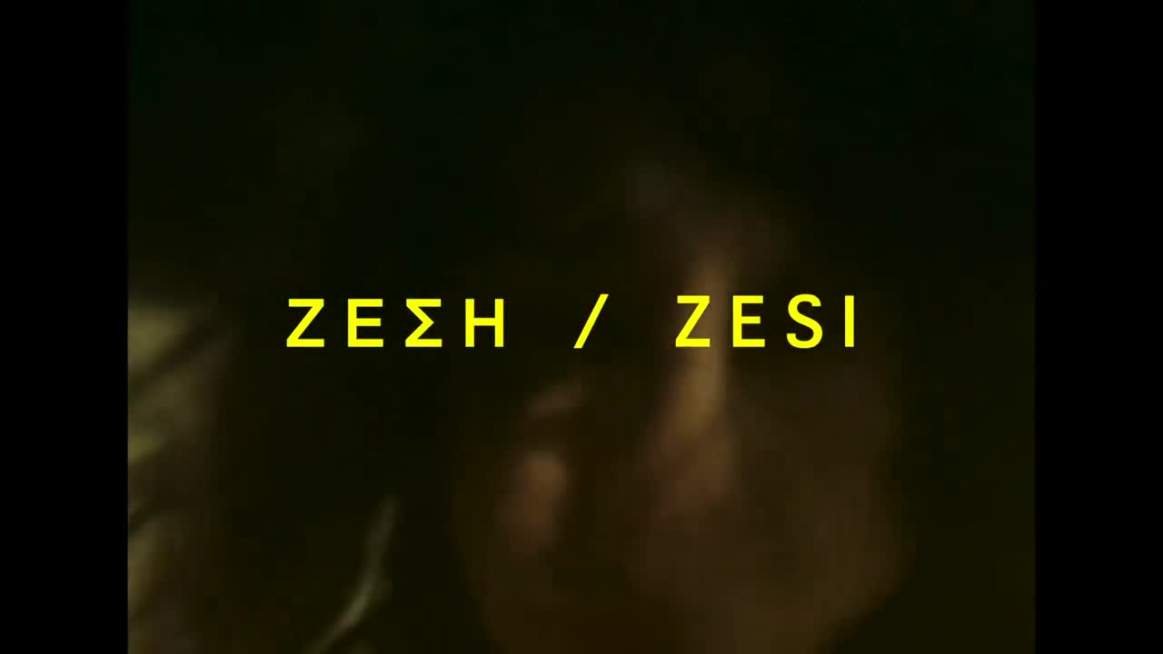 ZESI