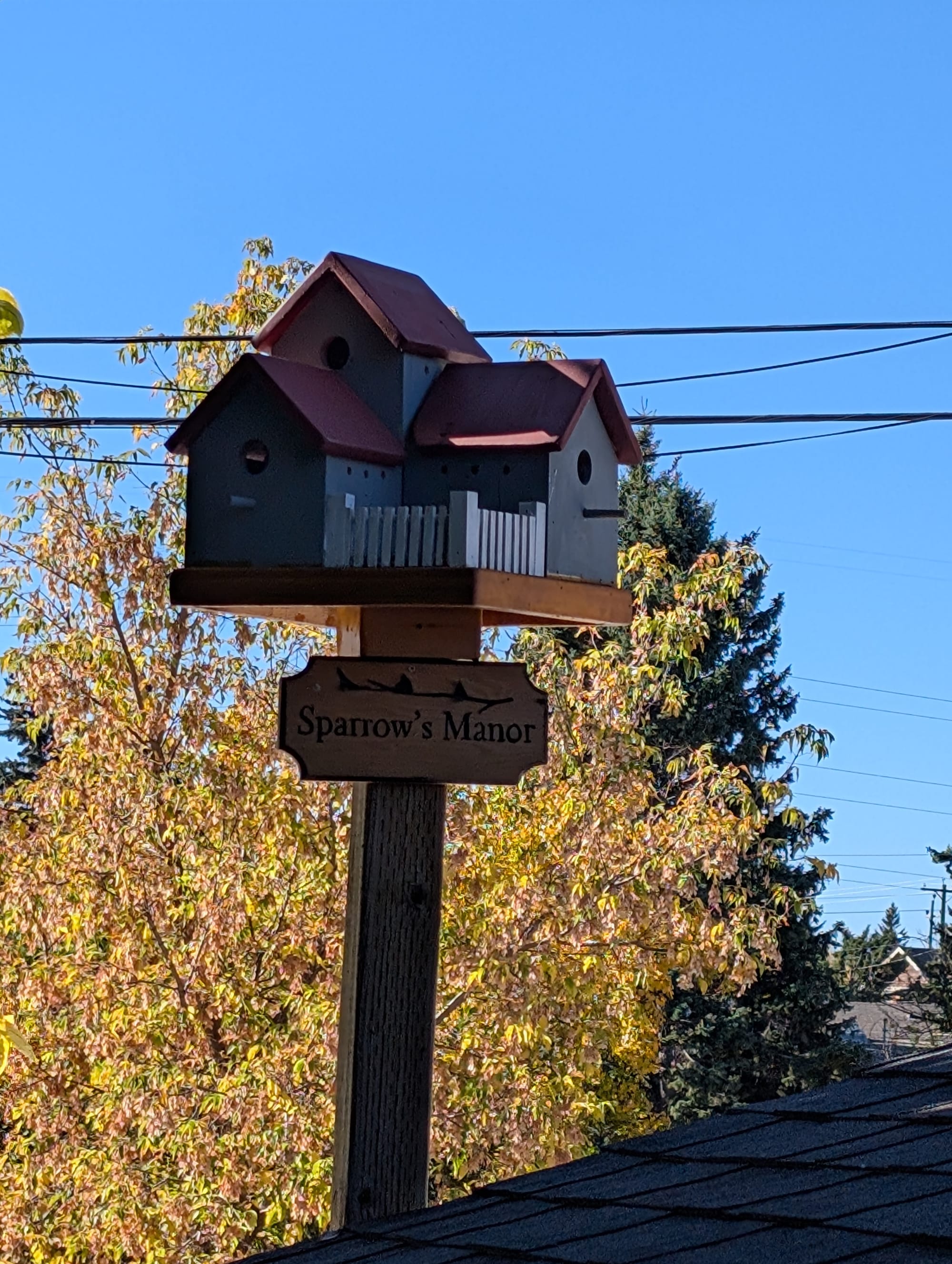 3 house bird condo