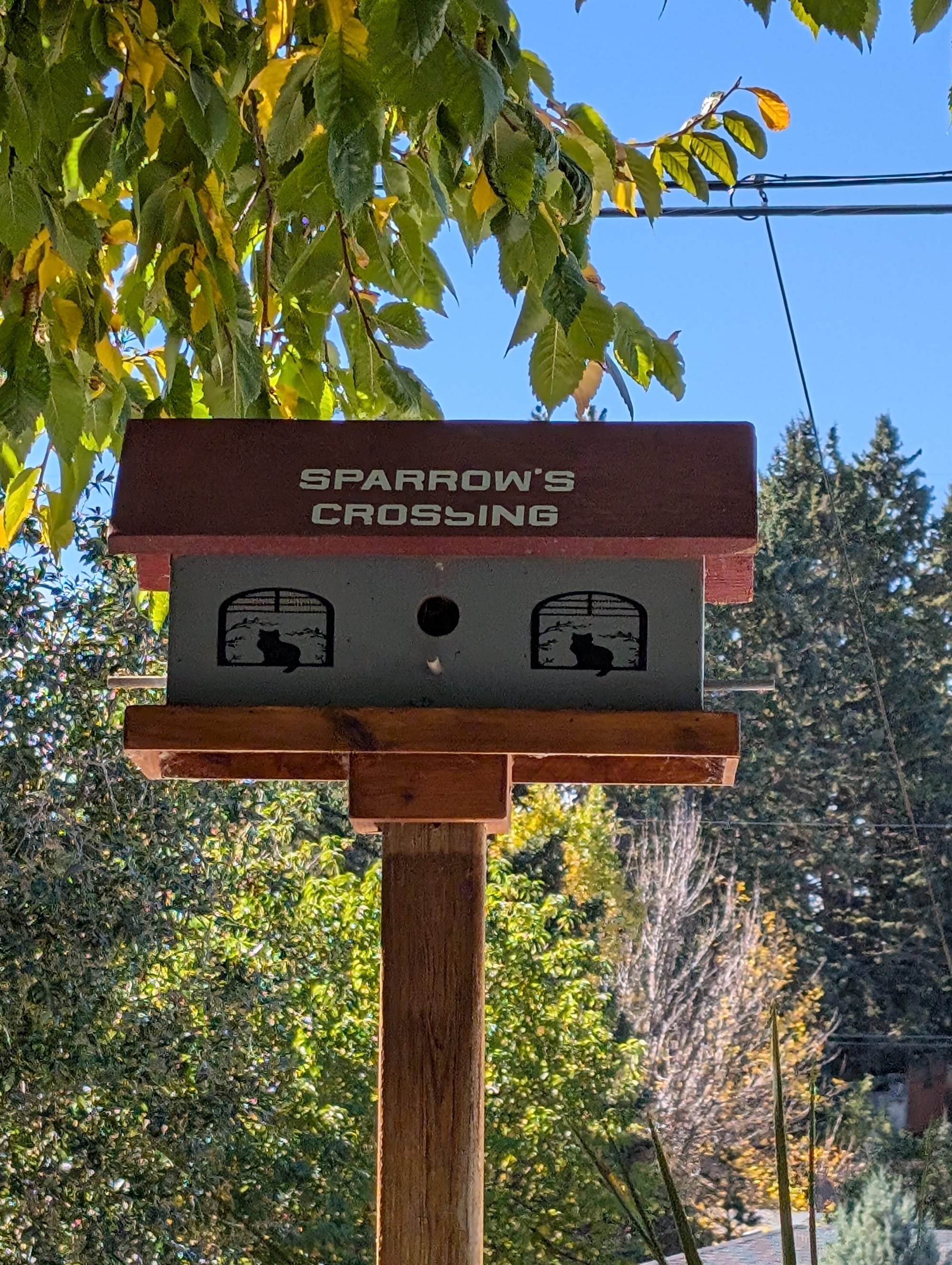 3 house bird train station