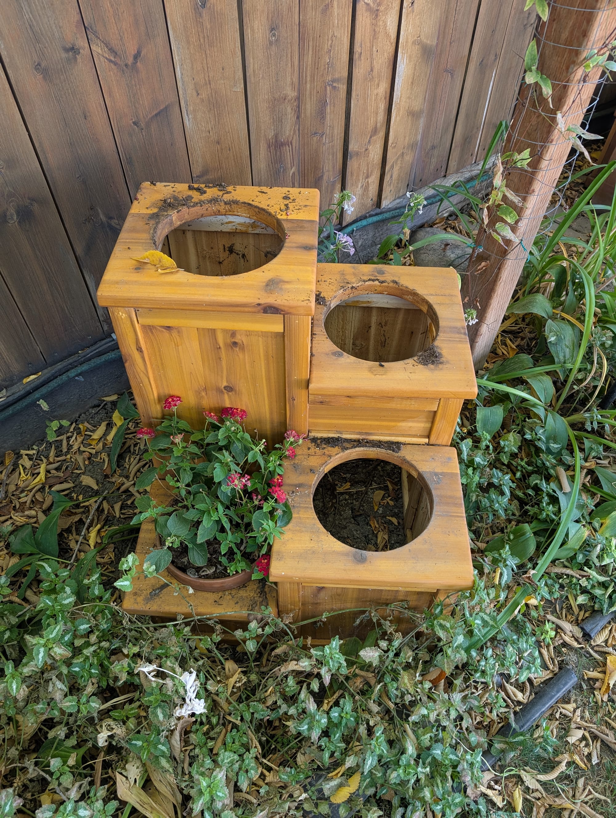 4 tier planter with clay pots