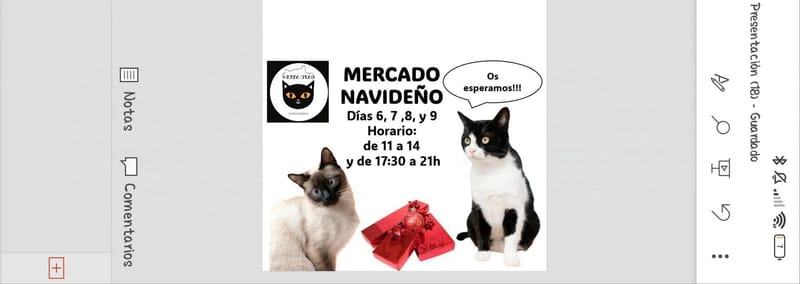 MERCADO NAVIDEÑO (FINALIZADO)