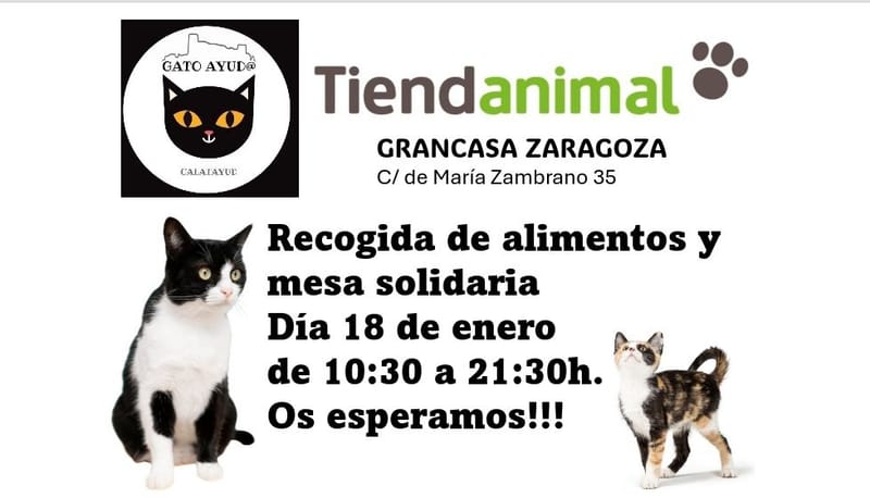 MESA SOLIDARIA  Y RECOGIDA DE ALIMENTOS (FINALIZADO)