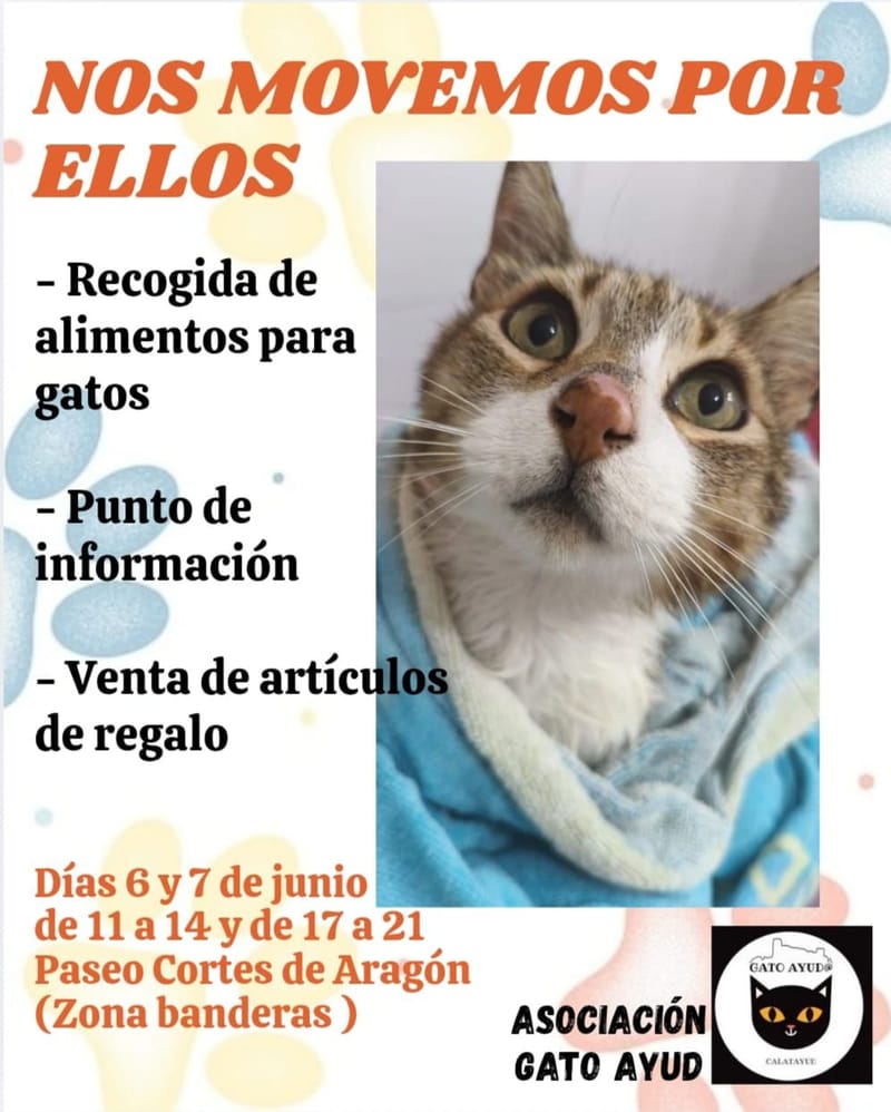 NOS MOVEMOS POR ELLOS