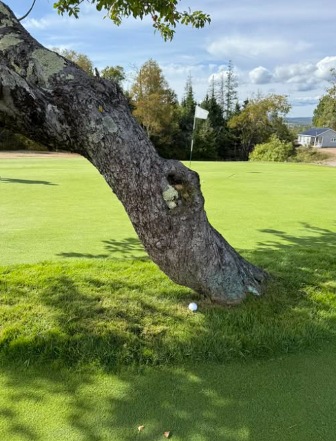 Parrsboro Golf Club - Image 11