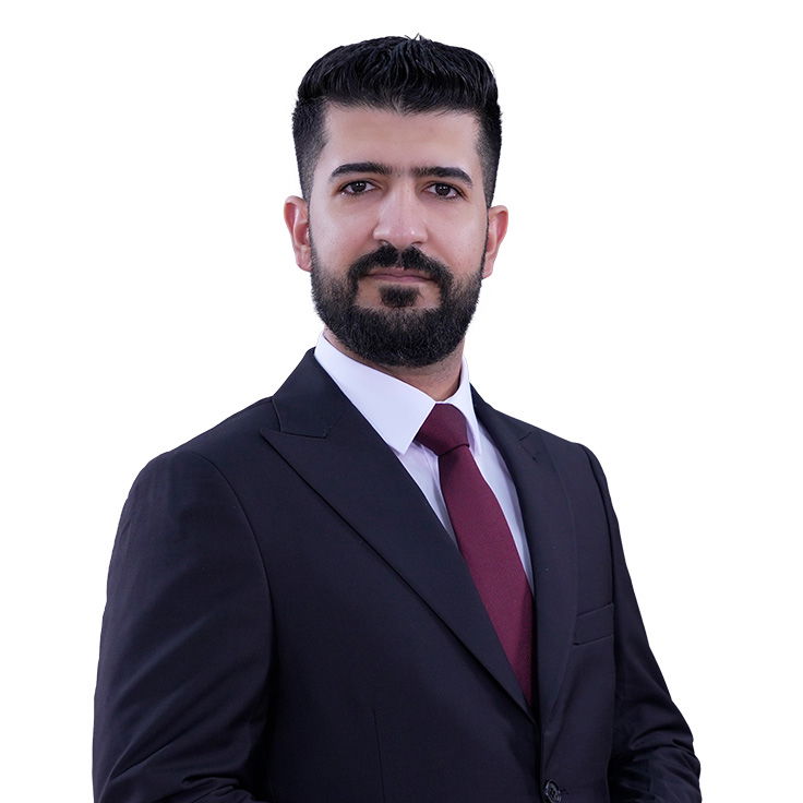 حسن محمود رحيم الربيعي