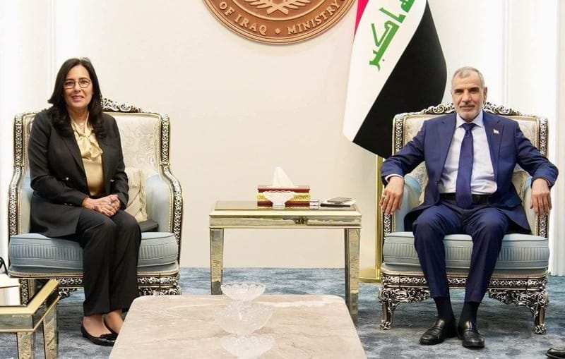 وزير المالية يبحث مع وفد البنك الدولي تطوير الأتمتة والإصلاح المالي والمصرفي