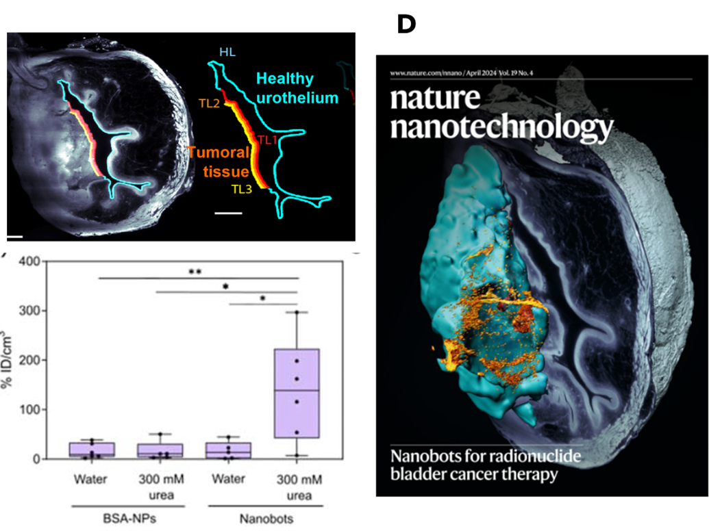 Revisando el impacto de Nanobots Therapeutics en 2024