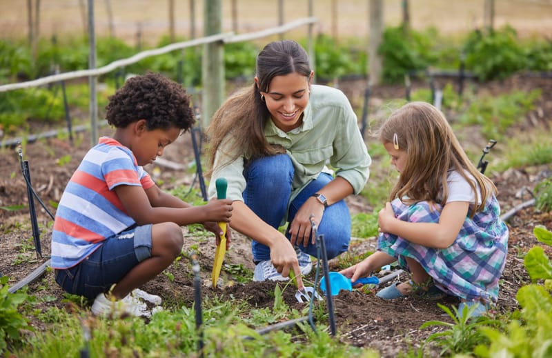 Clean up school garden