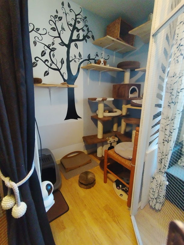 Pension Lise cat's à la Chapelle à coté de Vichy