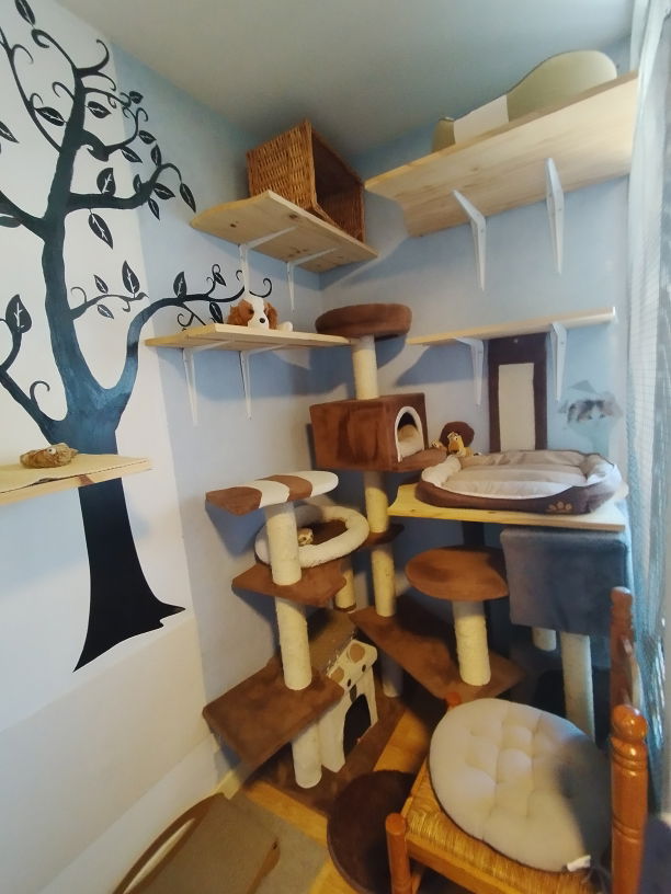 Chambre Marron de la pension pour chats Lise Cat's