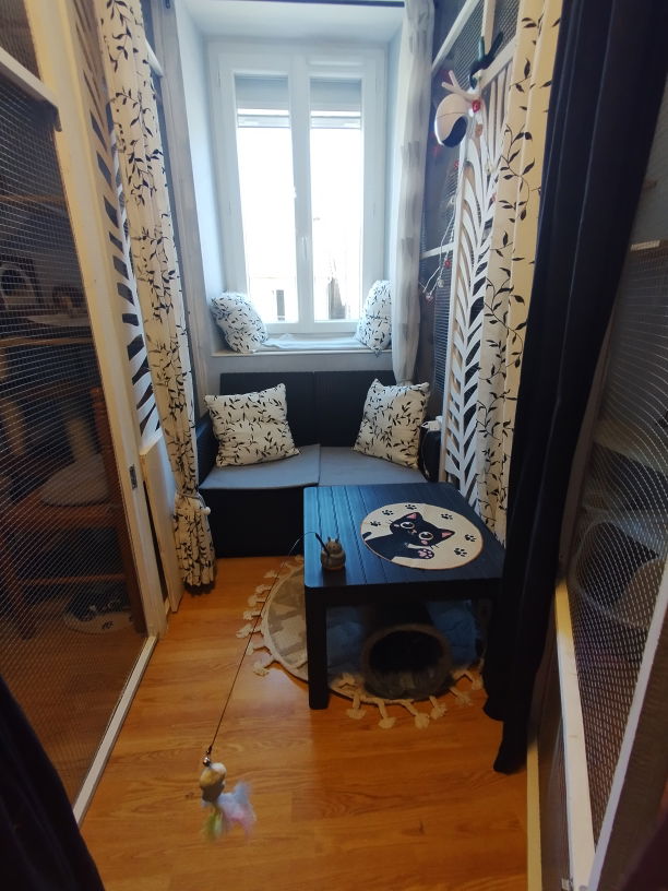 Coin détente pension pour chats Lise Cat's