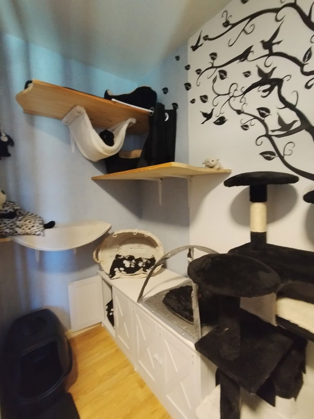 Chambre BW Black and White à la pension pour chats Lise Cat's