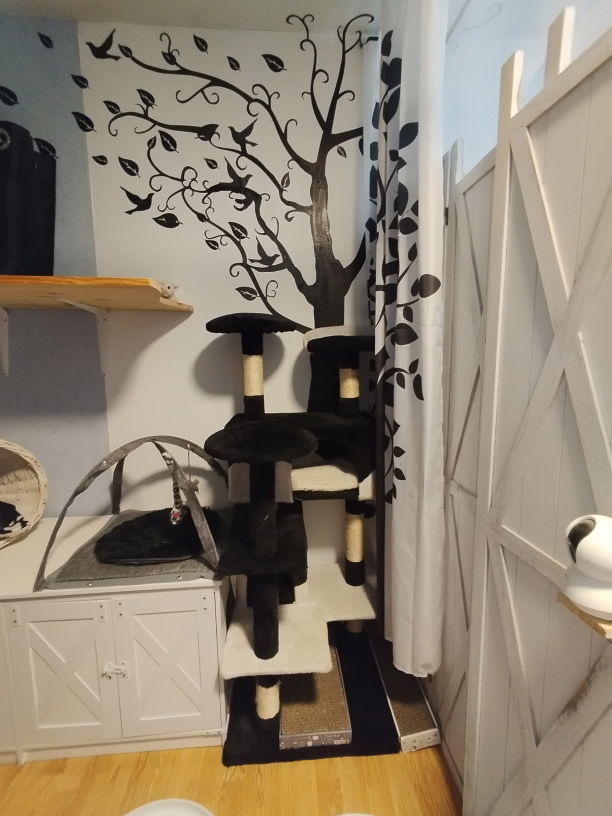 Chambre BW Black and White à la pension pour chats Lise Cat's