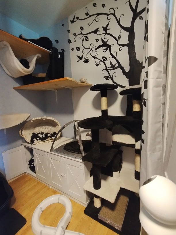 Chambre BW Black and White à la pension féline Lise Cat's
