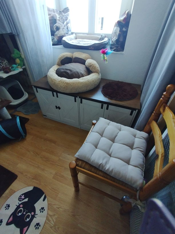 Chambre Verte pension Féline Lise Cat's