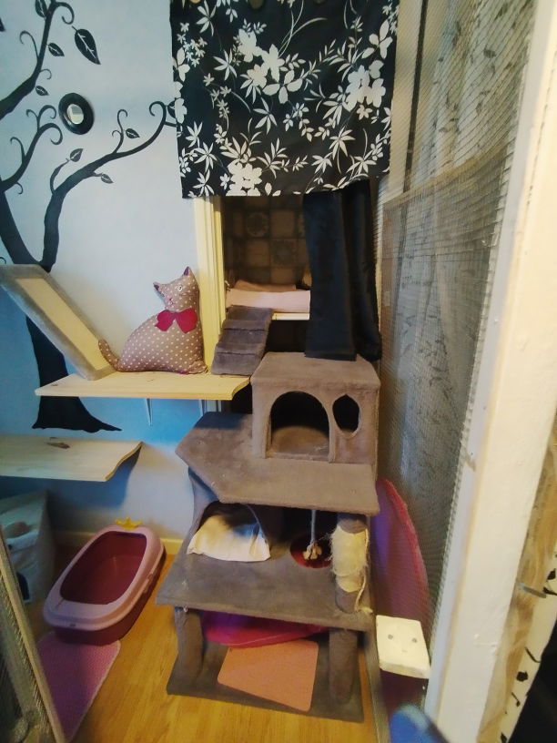 Chambre Rose pour chats agé ou chaton