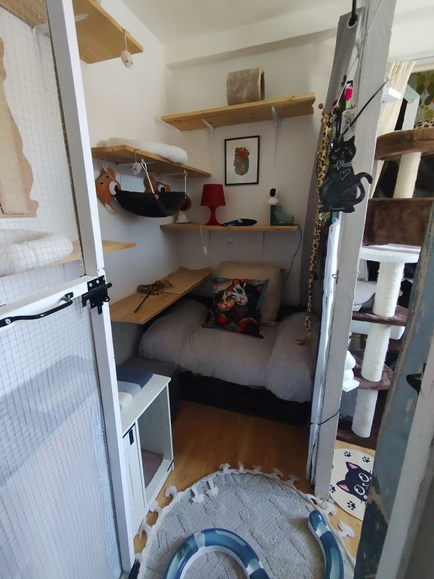 Petit salon Gris Pension  pour chats Lise Cat's