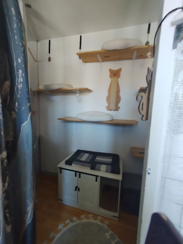 Planches d'escalade dans le petit salon gris