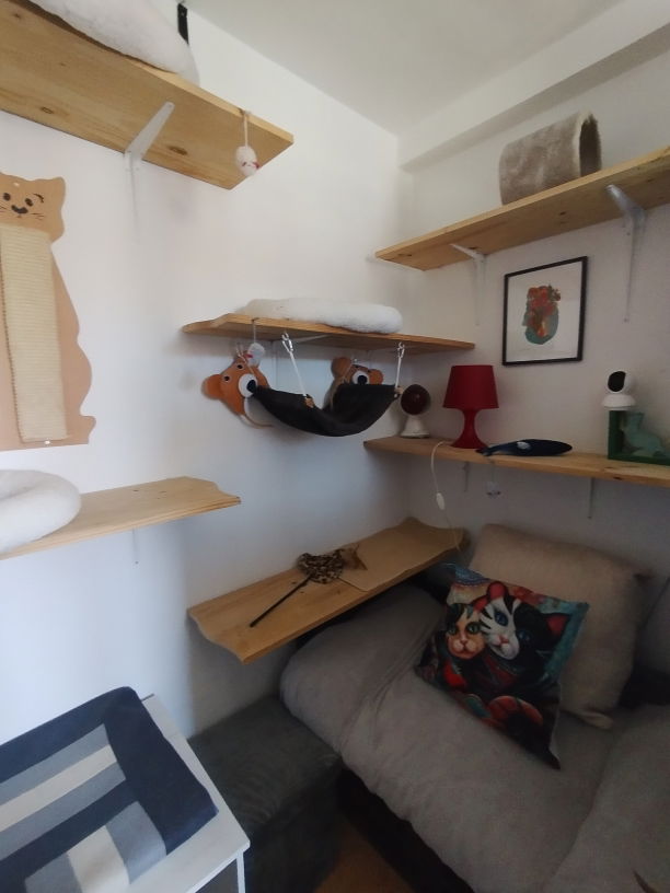 Petit salon Gris Pension Feline Lise Cat's