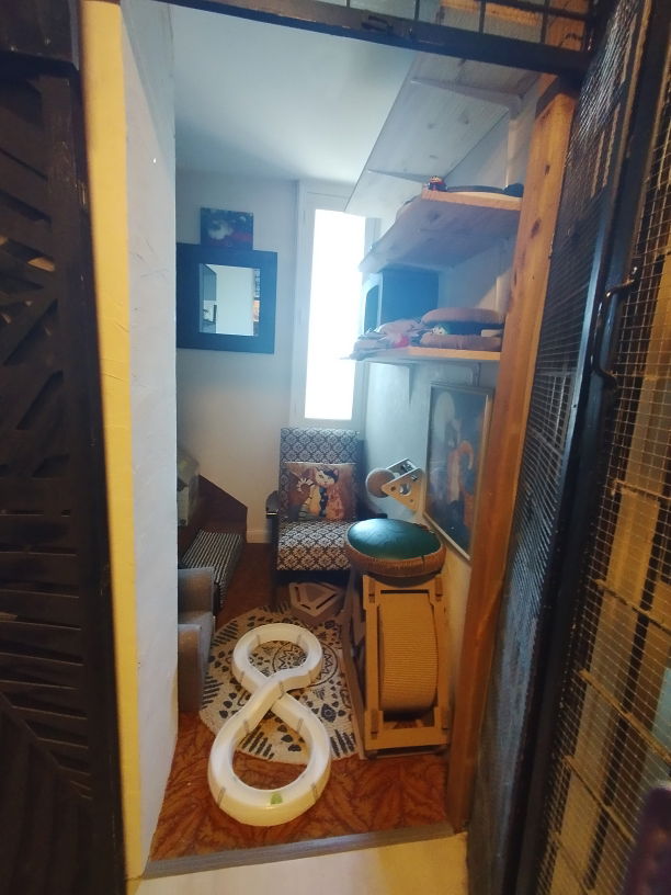 Salle de jeux Lise Cat's