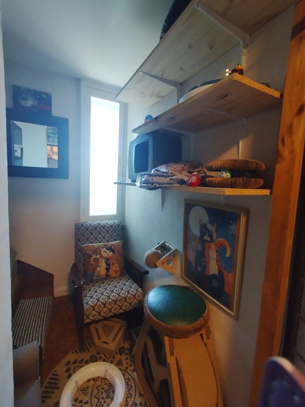 Salle de jeux à la pension Lise Cat's