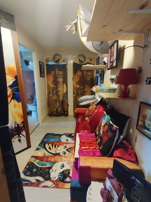 Venir jouer chez Lise Cat's