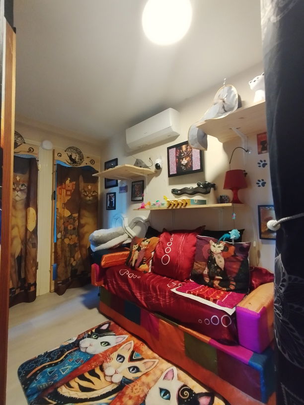 Salle de jeux à la pension féline Lise Cat's